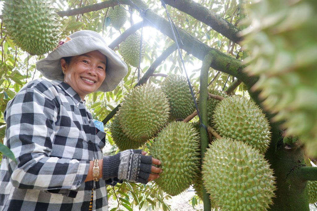 Tân Thạnh phát huy vai trò của nông dân trong xây dựng nông thôn mới