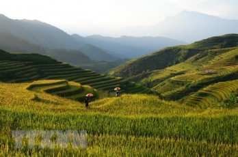 ASEAN casts bright tourism outlook