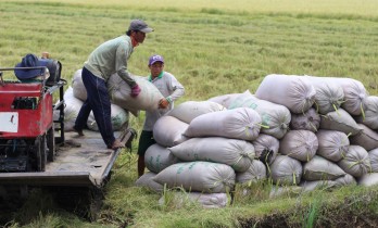 Vĩnh Hưng thúc đẩy phát triển kinh tế tập thể Vĩnh Hưng thúc đẩy phát triển kinh tế tập thể