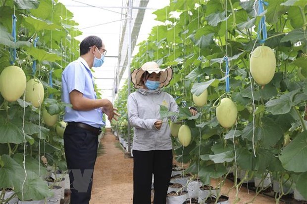 Vietnam, EU seek to boost cooperation in green, sustainable growth