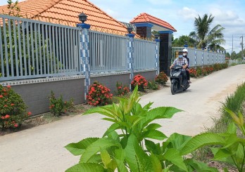 Mỹ Thạnh 'về đích' nông thôn mới Mỹ Thạnh 'về đích' nông thôn mới