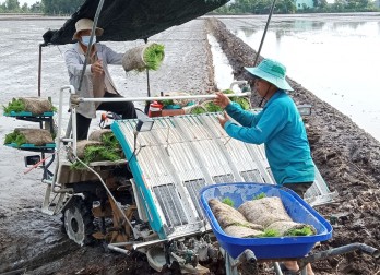 Thạnh Hóa ứng dụng công nghệ cao gắn với tái cơ cấu ngành Nông nghiệp Thạnh Hóa ứng dụng công nghệ cao gắn với tái cơ cấu ngành Nông nghiệp