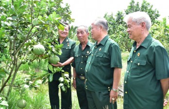 Cựu chiến binh gương mẫu đi đầu trong các phong trào