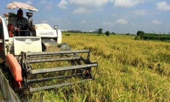 Vietnam, ASEAN commit to poverty reduction, food security