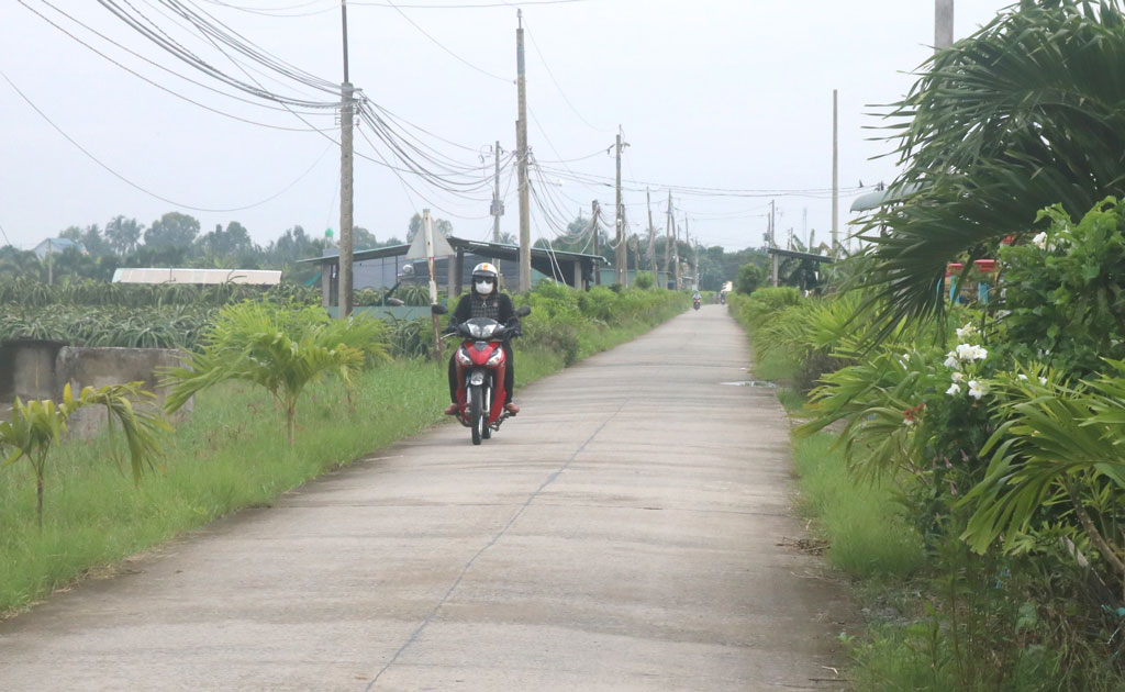 Long An: Nỗ lực thực hiện các chỉ tiêu nghị quyết năm 2022