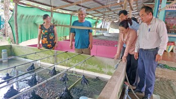 Tân Hưng: Ổn định cuộc sống nhờ nguồn vốn vay ưu đãi Tân Hưng: Ổn định cuộc sống nhờ nguồn vốn vay ưu đãi