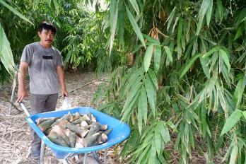 Nâng tầm chất lượng, giá trị cây trồng, vật nuôi Khi nông dân chuyển đổi cây trồng, vật nuôi