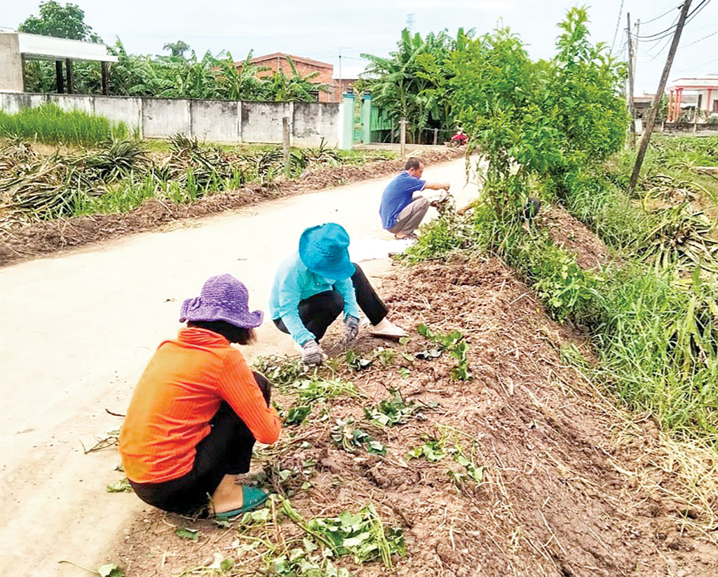 Bảo vệ môi trường, góp phần xây dựng nông thôn mới