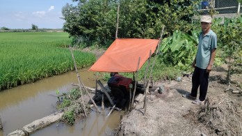 Tân Hưng: Nông dân các xã vùng thấp bơm nước để bảo vệ lúa Đông Xuân Tân Hưng: Nông dân các xã vùng thấp bơm nước để bảo vệ lúa Đông Xuân