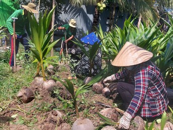 Tân Hưng: Hiệu quả từ phong trào Nông dân thi đua sản xuất, kinh doanh giỏi Tân Hưng: Hiệu quả từ phong trào Nông dân thi đua sản xuất, kinh doanh giỏi