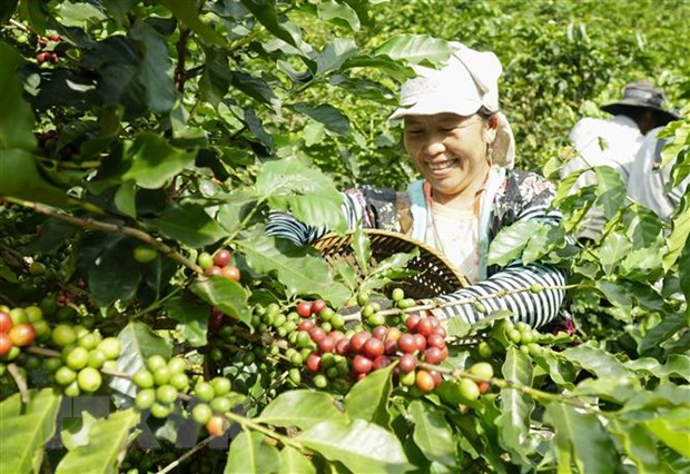 Chủ tịch nước chia sẻ về 4 yêu cầu quan trọng của thương mại, đầu tư