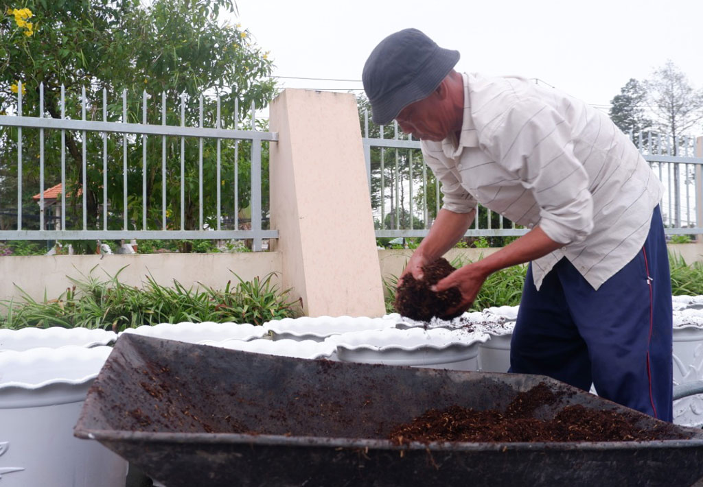 Sẵn sàng rau màu, hoa kiểng phục vụ thị trường tết