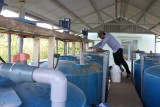 Hệ thống quan trắc nước thải góp phần theo dõi, giám sát chất lượng môi trường