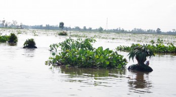 Rèn quân mùa nước nổi