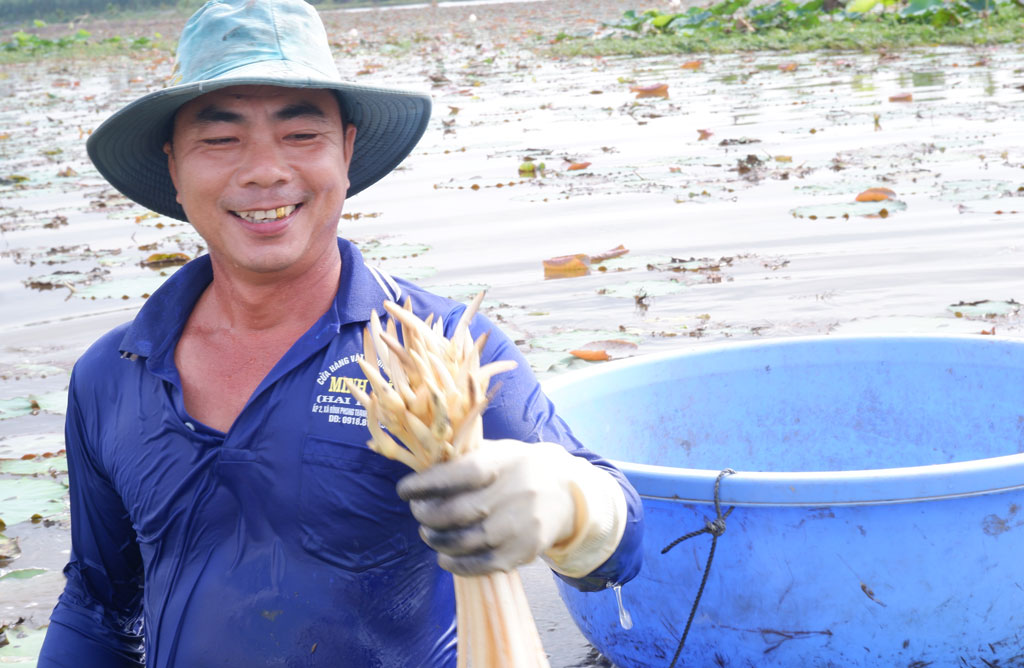 Chuyển đổi cây trồng góp phần nâng cao đời sống người dân