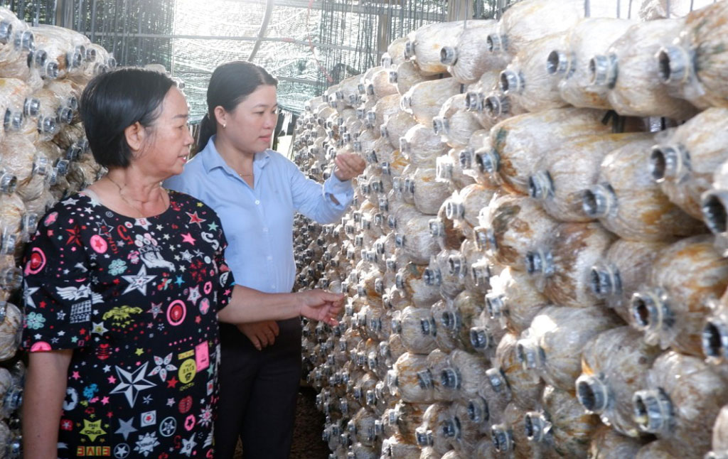 Chuyển đổi cây trồng góp phần nâng cao đời sống người dân