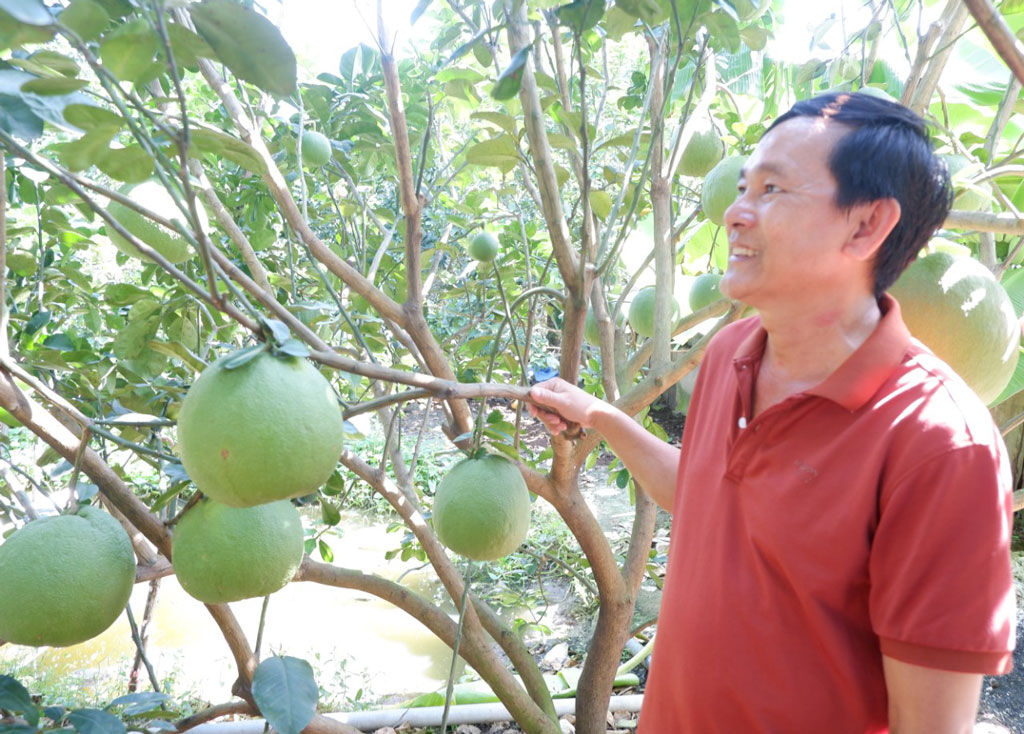 Chuyển đổi cây trồng góp phần nâng cao đời sống người dân