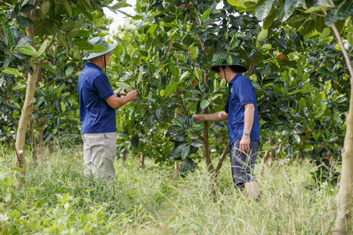 GREENFEED được vinh danh trong top 100 doanh nghiệp bền vững tại Việt Nam năm 2022