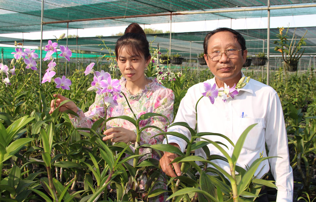 Hỗ trợ nông dân phát triển nông nghiệp bền vững