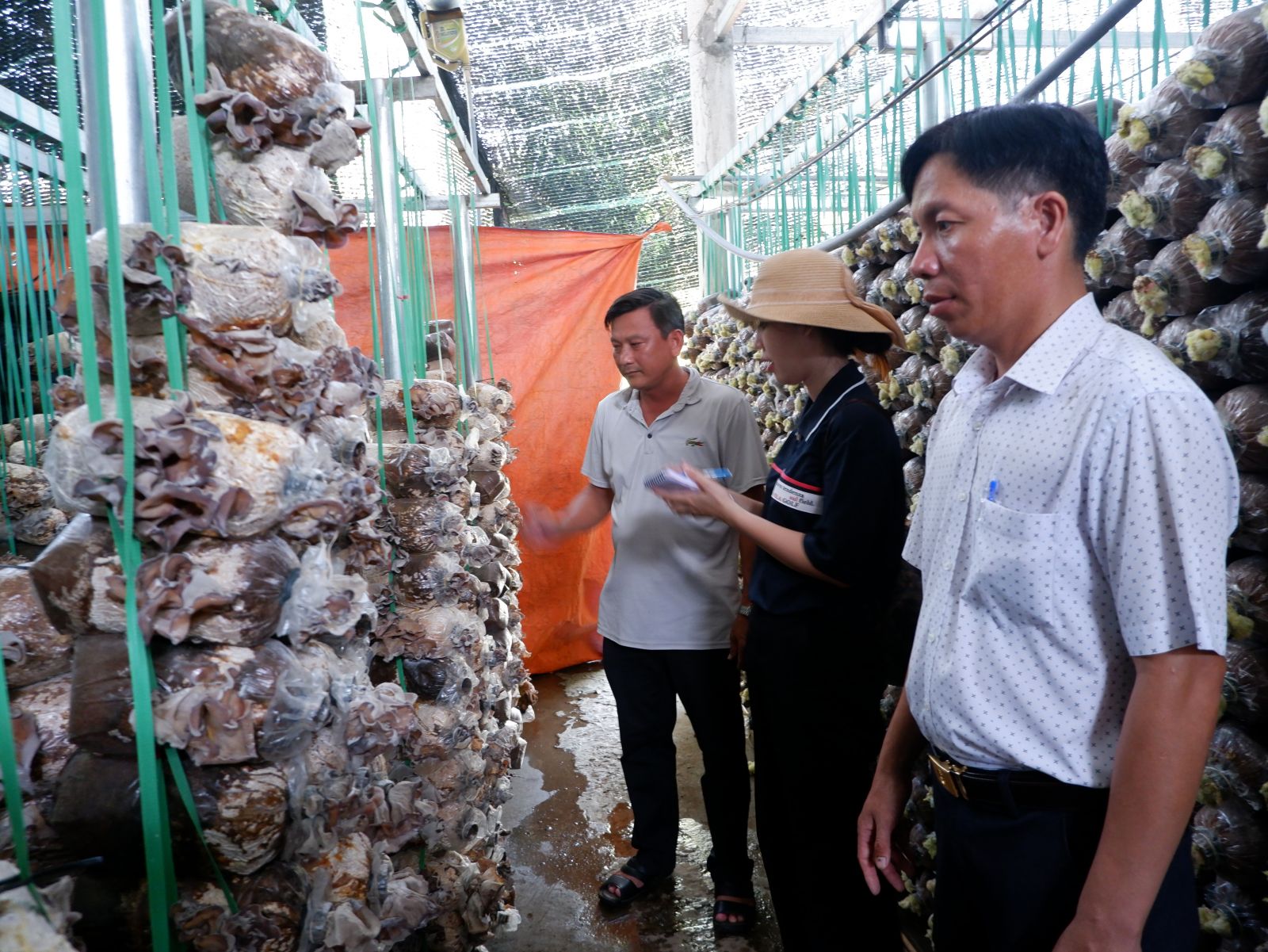 Tân Thạnh phát triển sản phẩm OCOP - 'Đòn bẩy' từ những lợi thế