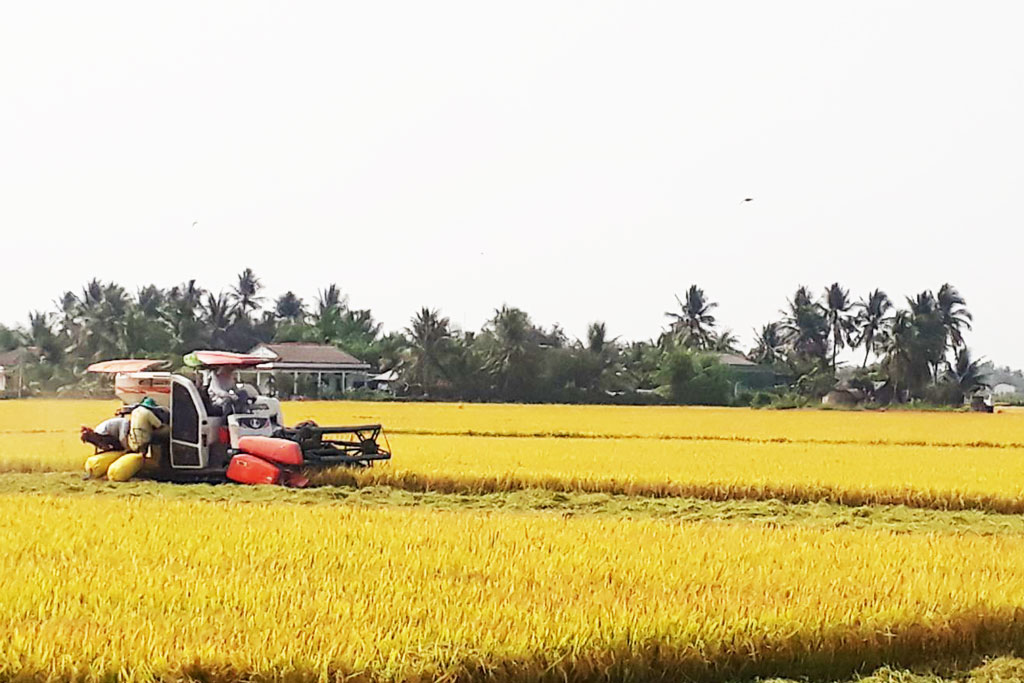 Các sở, ngành nỗ lực thực hiện thắng lợi nhiệm vụ năm 2022