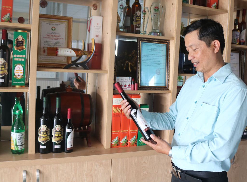 Chung tay nâng giá trị cho thanh long