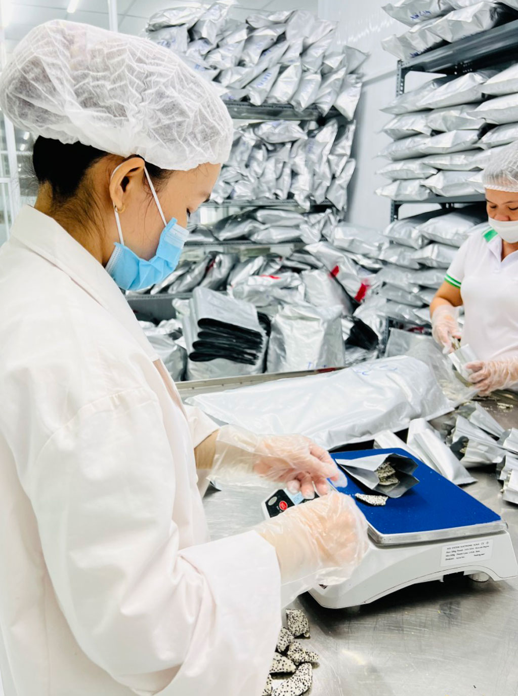 Chung tay nâng giá trị cho thanh long