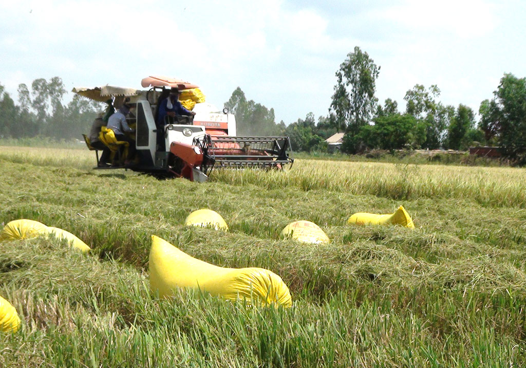 Strong socio-economic recovery creates momentum for development