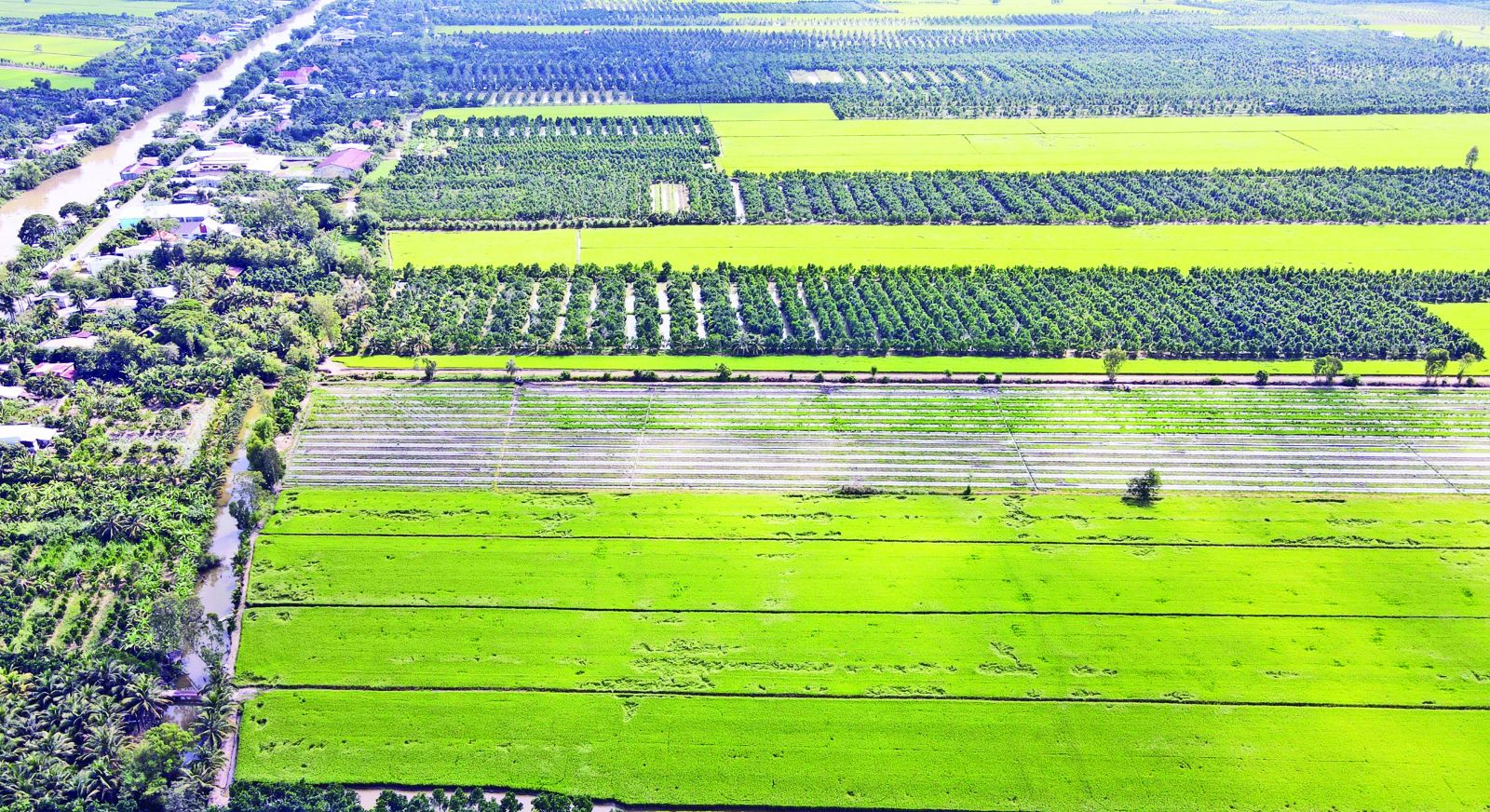 Tân Thạnh hướng đến nâng tầm sản phẩm đặc trưng