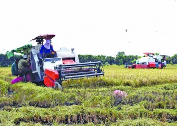 Ứng dụng công nghệ cao trong sản xuất góp phần xây dựng nông thôn mới Ứng dụng công nghệ cao trong sản xuất góp phần xây dựng nông thôn mới