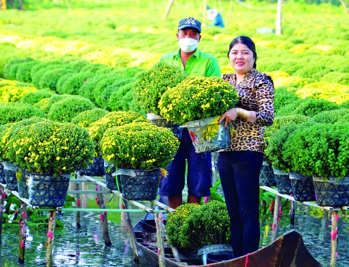 Hương sắc ngày tết miền Tây