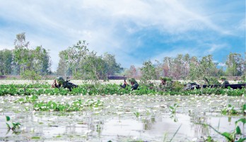 Xây dựng khu vực phòng thủ vững chắc làm nền tảng phát triển kinh tế - xã hội