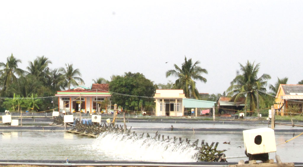 Đảng bộ xã Thanh Phú Long hoàn thành xuất sắc nhiệm vụ nhiều năm liền