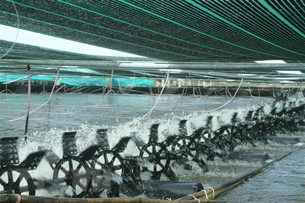 Bạc Liêu hướng tới mục tiêu xuất khẩu tôm 1 tỷ USD trong năm 2023