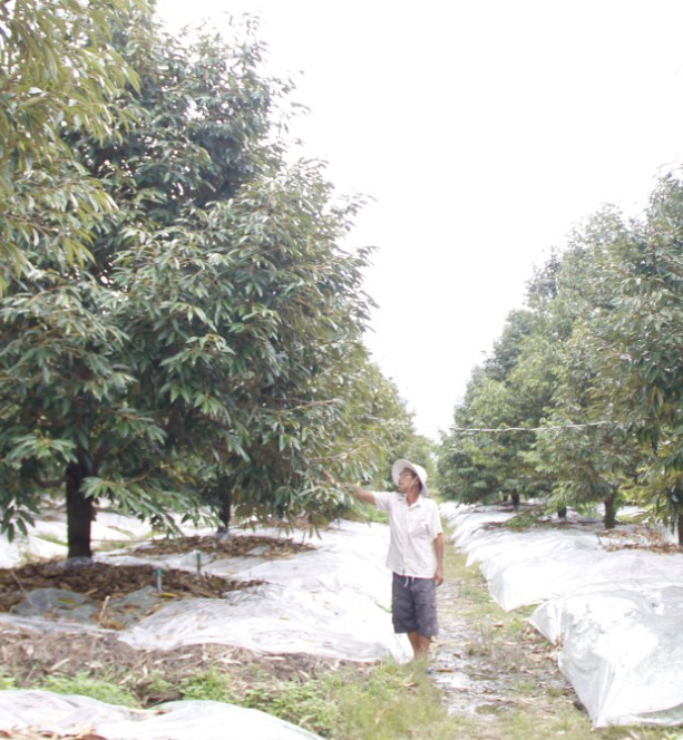 Step by step changing thought from agricultural production to agricultural economy