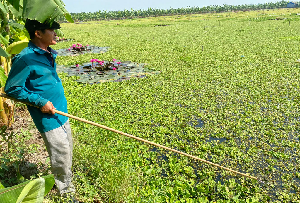 Những lão nông đa tài