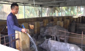 Tân Hưng tập trung phòng, chống bệnh dịch tả heo châu Phi
