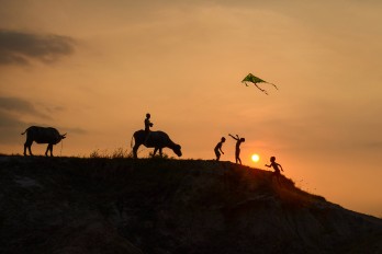 Cánh diều tuổi thơ
