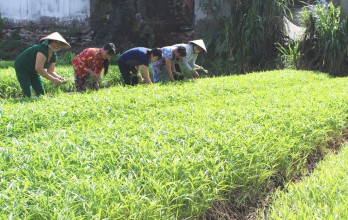 Đổi thay ở một xã vùng biên Đổi thay ở một xã vùng biên