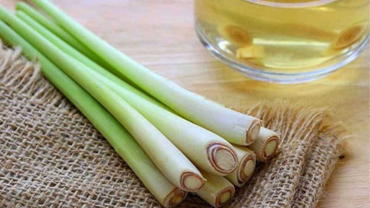 Phòng tránh muỗi đốt đơn giản từ thiên nhiên