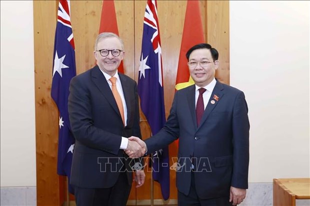 Vietnam, Australia build increasingly comprehensive, equal, reliable relations: Ambassador