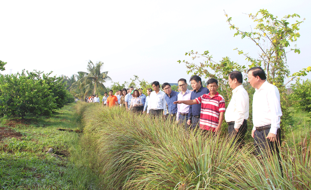 Ministry of Agriculture and Rural Development inspects and surveys some typical models of new rural areas in Long An.