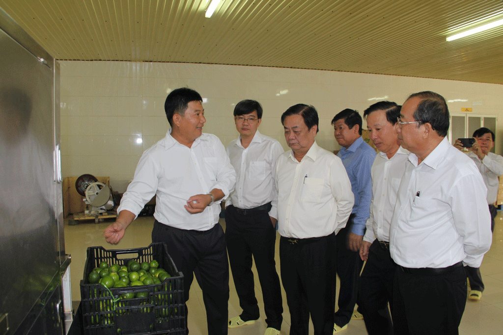 Ministry of Agriculture and Rural Development inspects and surveys some typical models of new rural areas in Long An.