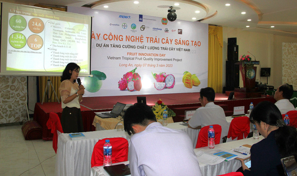 Fruit Innovation Day Workshop