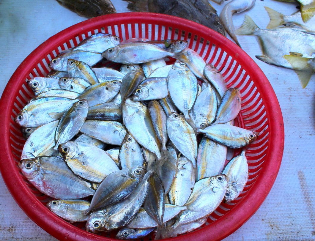 Canh cá liệt quả thiệt là ngon!