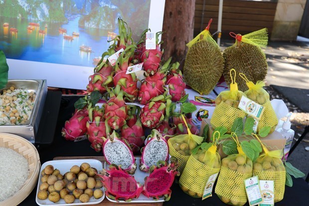 Vietnam, Australia enjoy fruitful strategic partnership: expert