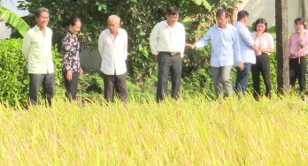 Tân Trụ ứng dụng khoa học - kỹ thuật vào sản xuất nông nghiệp