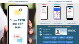 Hướng dẫn cách kiểm tra thông tin thuê bao di động