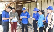 Tuổi trẻ Tân Thạnh - Nòng cốt trong chuyển đổi số