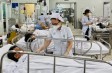 Bác sĩ Bệnh viện Chợ Rẫy thông tin về bệnh Marburg nguy cơ tử vong đến 88%